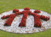 BBW Logo Blumen Herbst